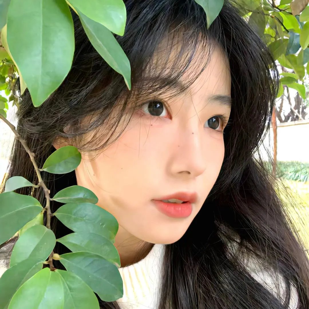 与狼共枕