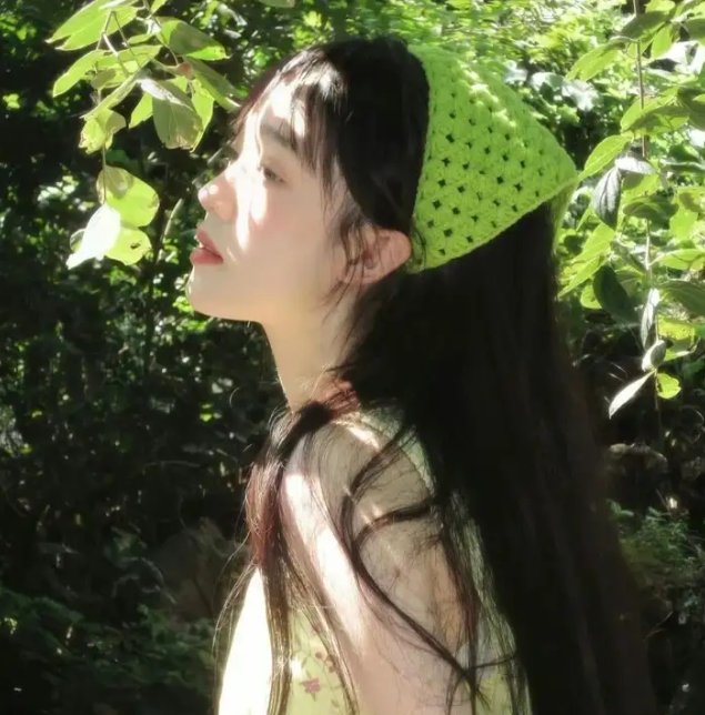 森林之境